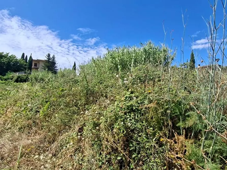 Immagine 3 di Terreno residenziale in vendita  a Terricciola