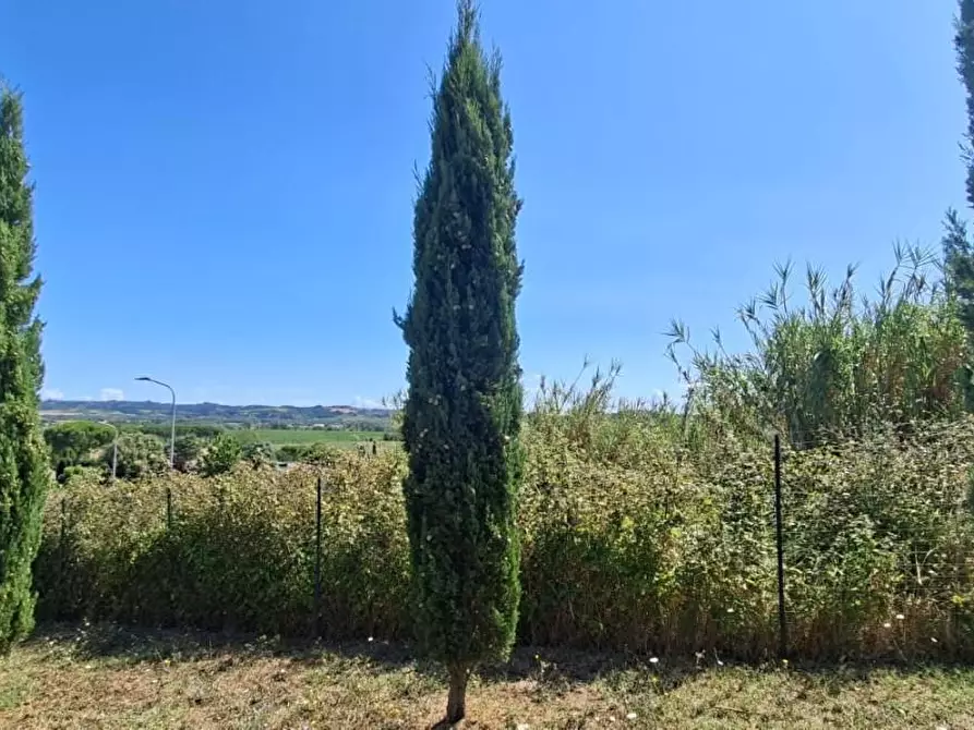 Immagine 6 di Terreno residenziale in vendita  a Terricciola