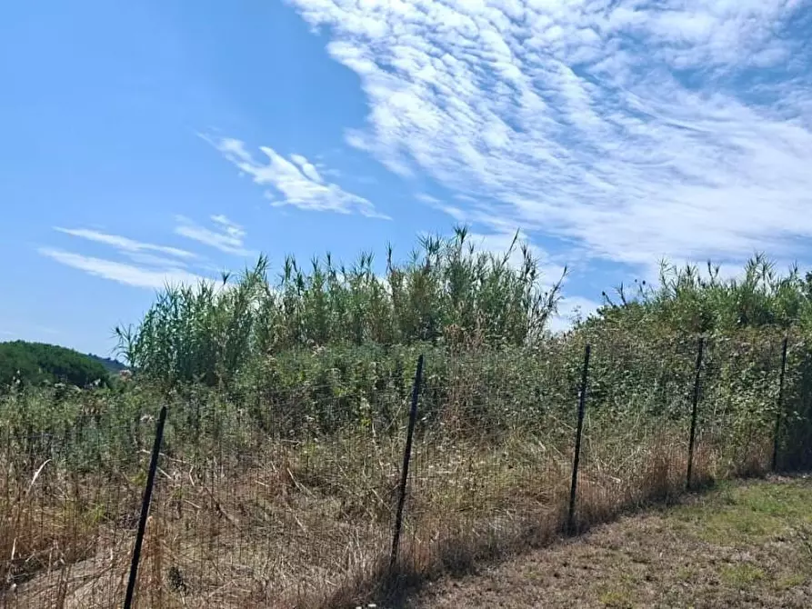 Immagine 2 di Terreno residenziale in vendita  a Terricciola