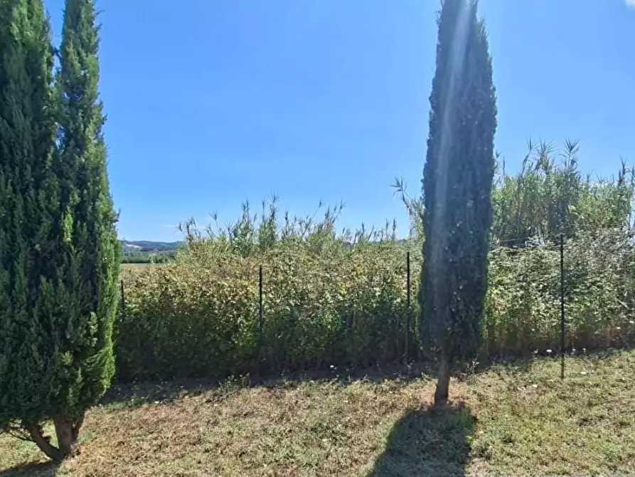 Immagine 1 di Terreno residenziale in vendita  a Terricciola