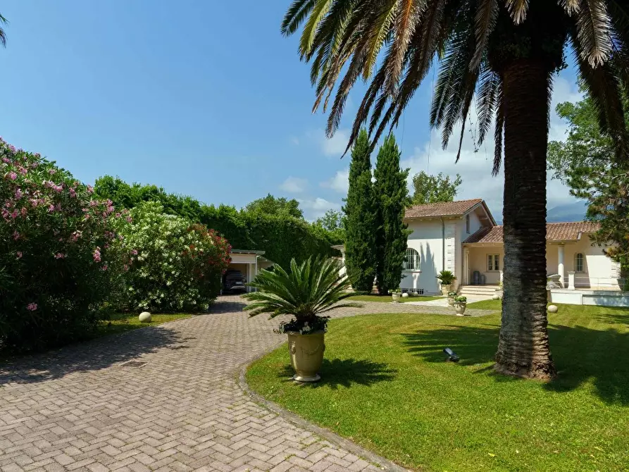 Immagine 15 di Villa in vendita  a Pietrasanta