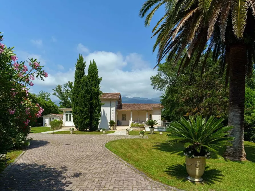 Immagine 14 di Villa in vendita  a Pietrasanta