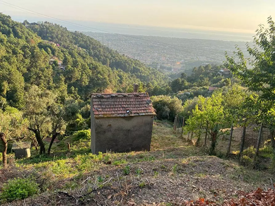 Immagine 1 di Casa indipendente in vendita  a Massa
