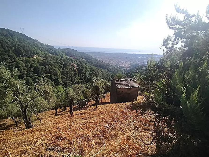Immagine 8 di Casa indipendente in vendita  a Massa