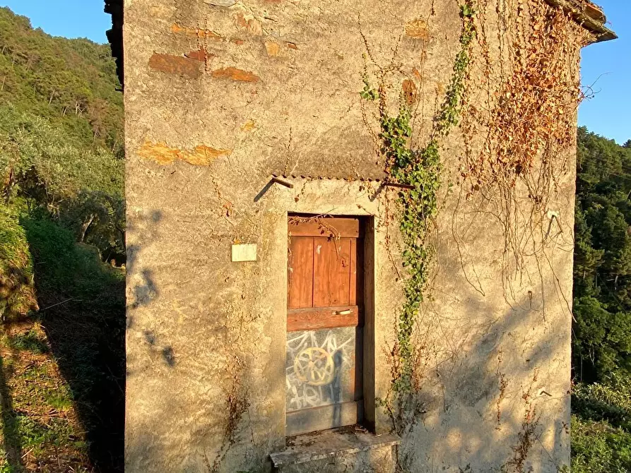 Immagine 9 di Casa indipendente in vendita  a Massa