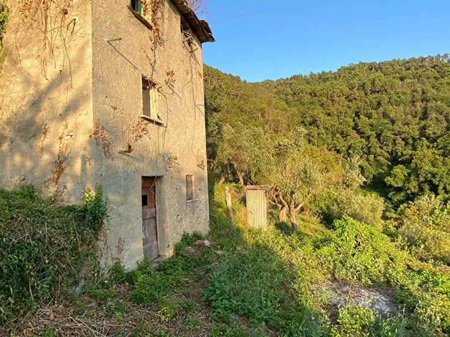 Immagine 5 di Casa indipendente in vendita  a Massa