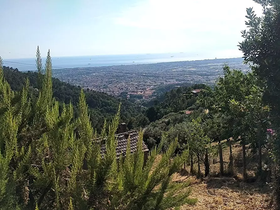 Immagine 2 di Casa indipendente in vendita  a Massa