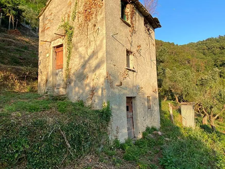 Immagine 6 di Casa indipendente in vendita  a Massa