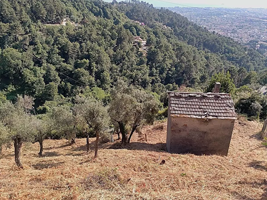 Immagine 12 di Casa indipendente in vendita  a Massa