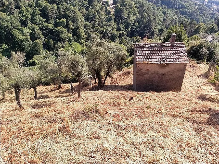 Immagine 3 di Casa indipendente in vendita  a Massa