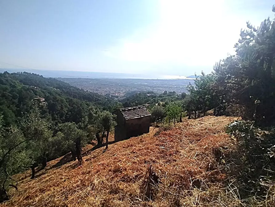 Immagine 13 di Casa indipendente in vendita  a Massa