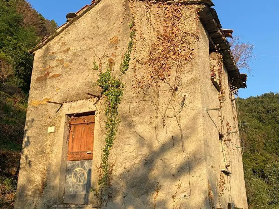 Immagine 4 di Casa indipendente in vendita  a Massa