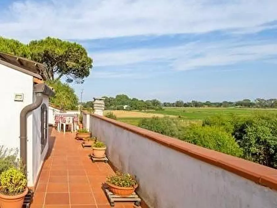 Immagine 13 di Appartamento in vendita  a Pisa