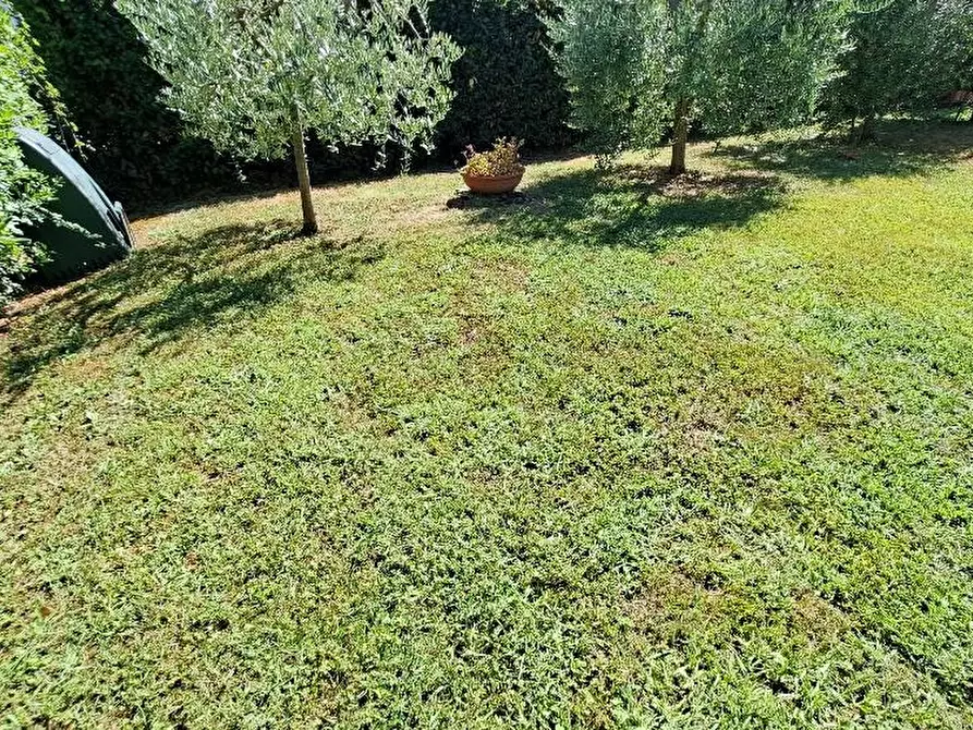 Immagine 29 di Appartamento in vendita  a Cascina