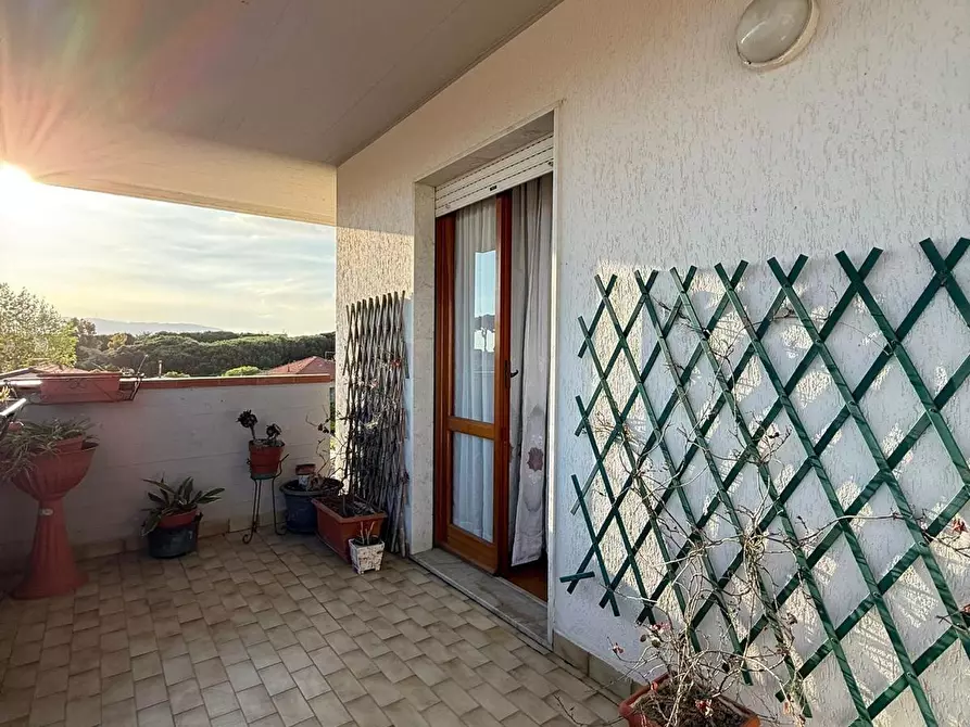 Immagine 17 di Appartamento in vendita  a Carrara