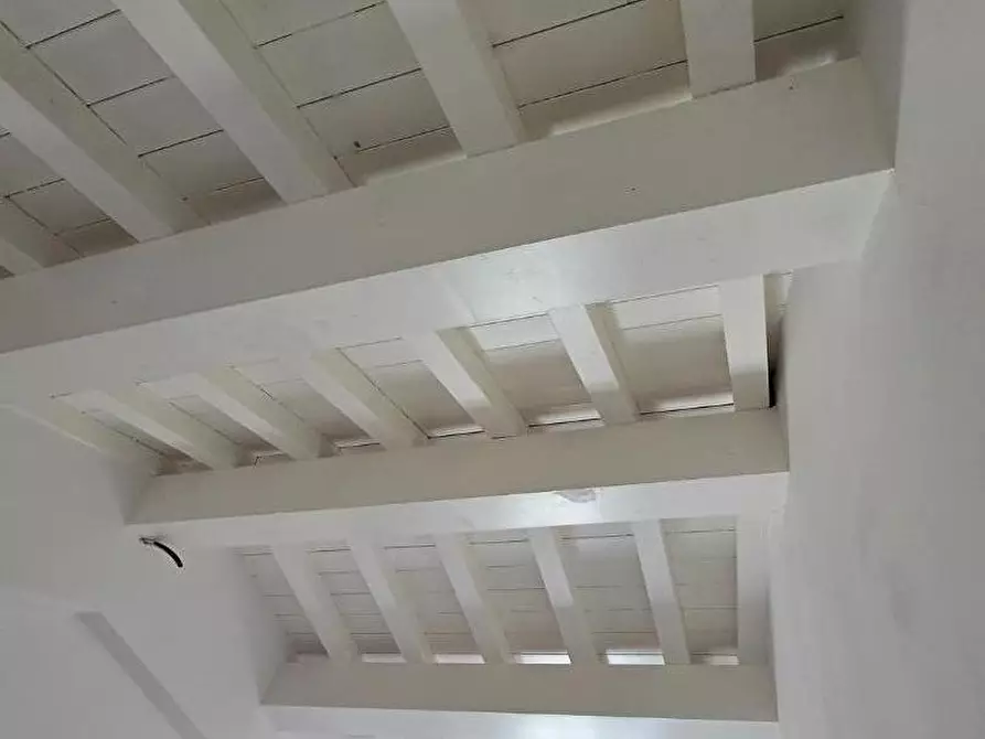 Immagine 18 di Terratetto in vendita  a Calci