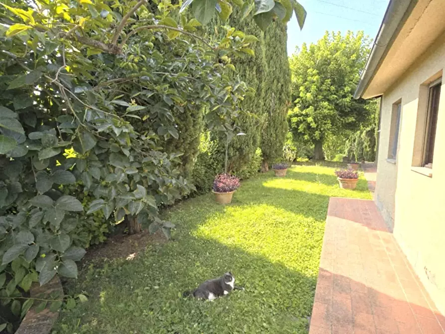 Immagine 36 di Casa colonica in vendita  a Colle Di Val D'elsa