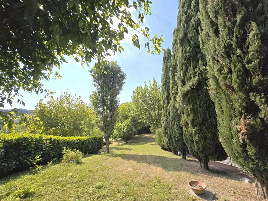 Immagine 43 di Casa colonica in vendita  a Colle Di Val D'elsa