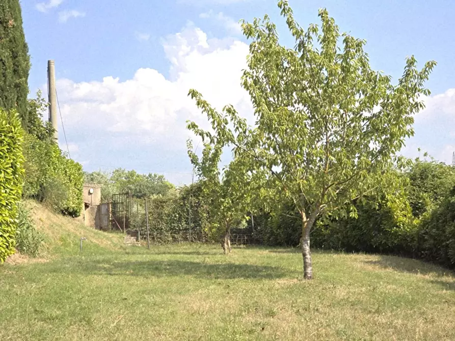 Immagine 39 di Casa colonica in vendita  a Colle Di Val D'elsa