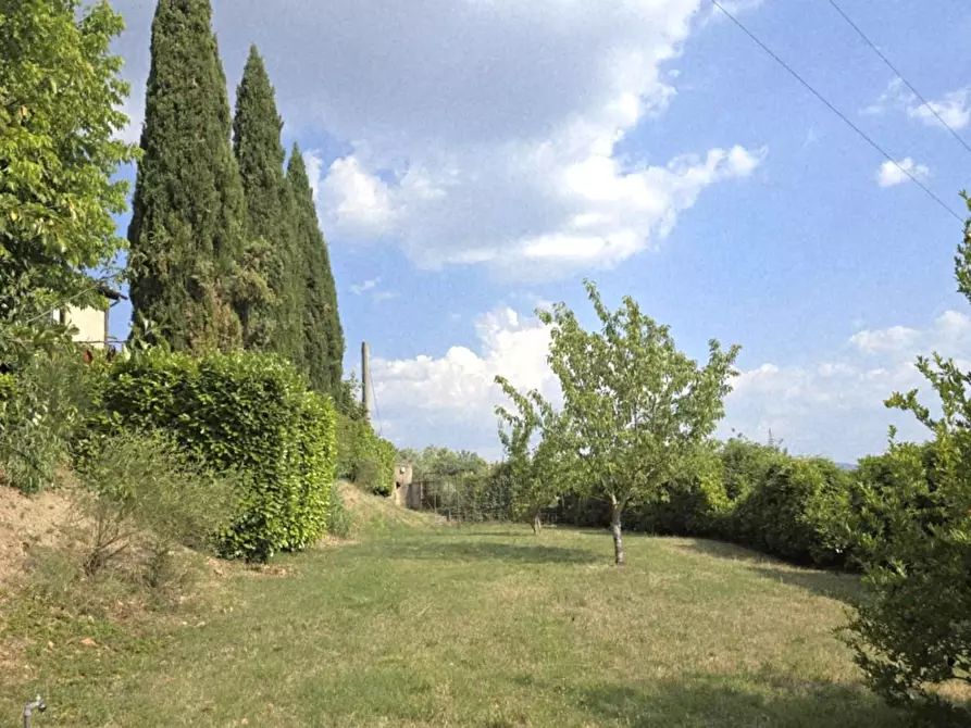 Immagine 40 di Casa colonica in vendita  a Colle Di Val D'elsa