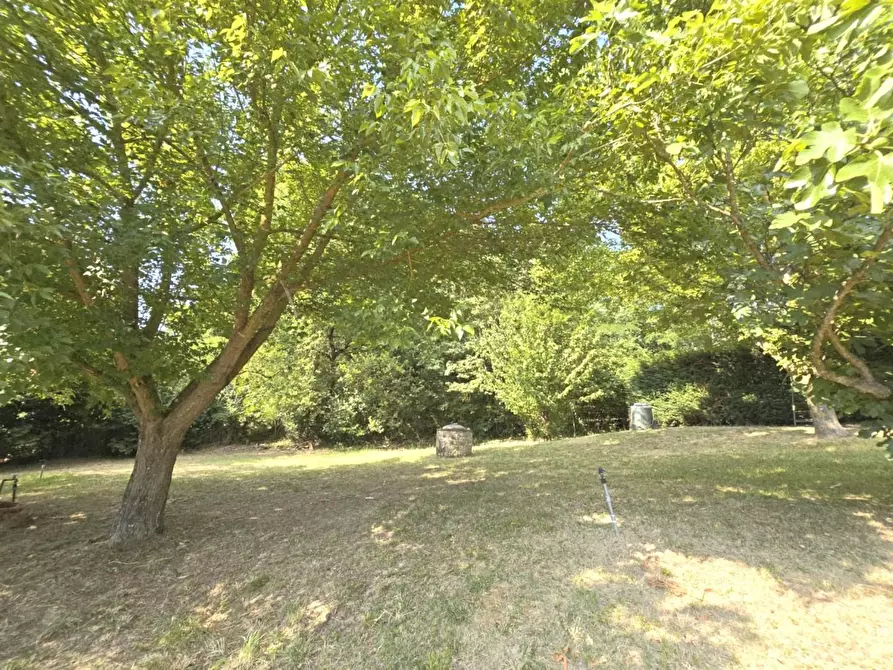 Immagine 44 di Casa colonica in vendita  a Colle Di Val D'elsa