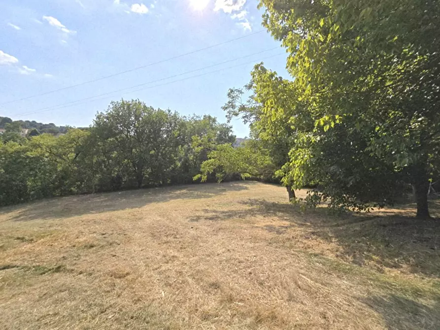 Immagine 42 di Casa colonica in vendita  a Colle Di Val D'elsa