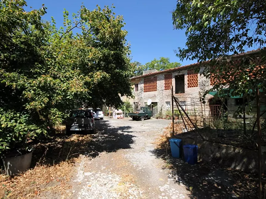 Immagine 5 di Rustico / casale in vendita  a Capannori