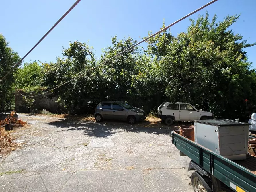 Immagine 7 di Rustico / casale in vendita  a Capannori