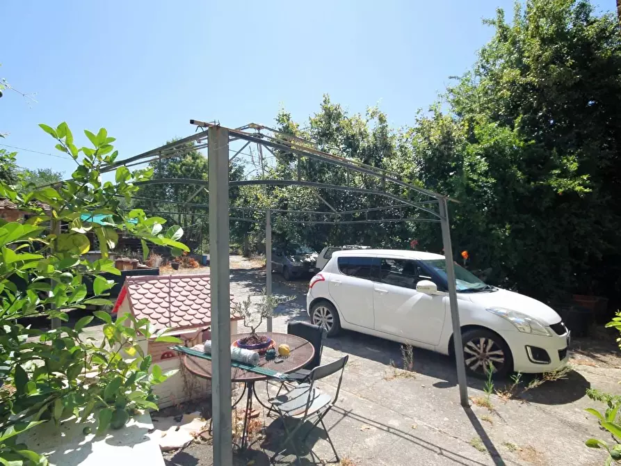 Immagine 6 di Rustico / casale in vendita  a Capannori