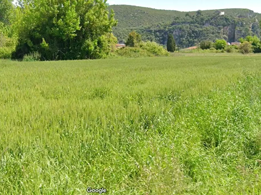 terreno agricolo in vendita a Vecchiano in zona Migliarino Pisano