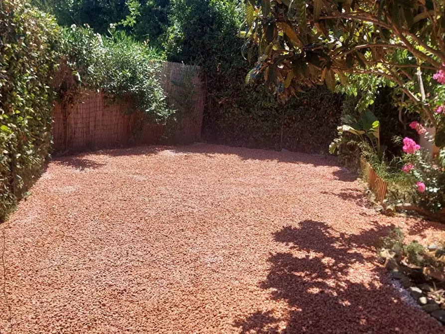 Immagine 12 di Appartamento in affitto  a Santa Luce