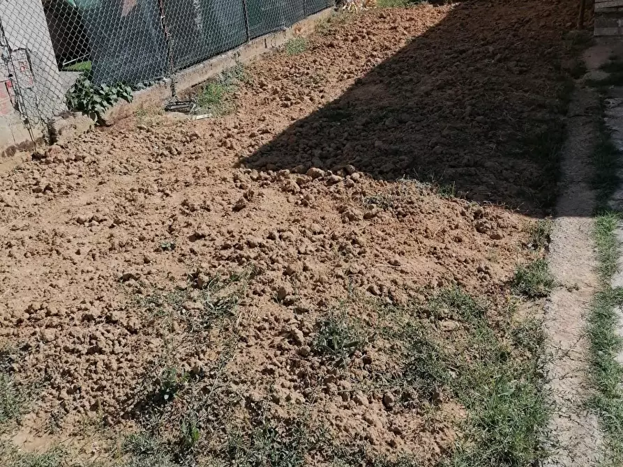 Immagine 18 di Appartamento in vendita  a Ponsacco