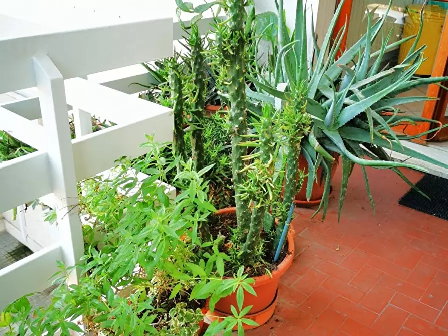 Immagine 36 di Appartamento in vendita  a Cascina