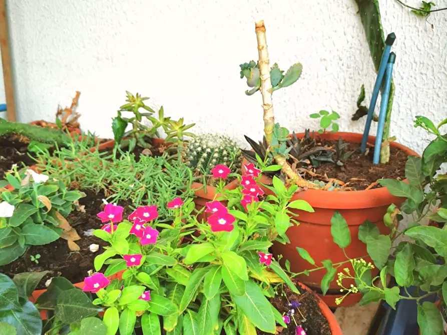 Immagine 37 di Appartamento in vendita  a Cascina