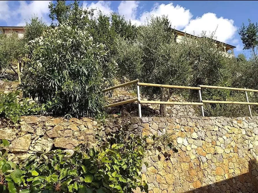 Immagine 10 di Villa in vendita  a Carrara