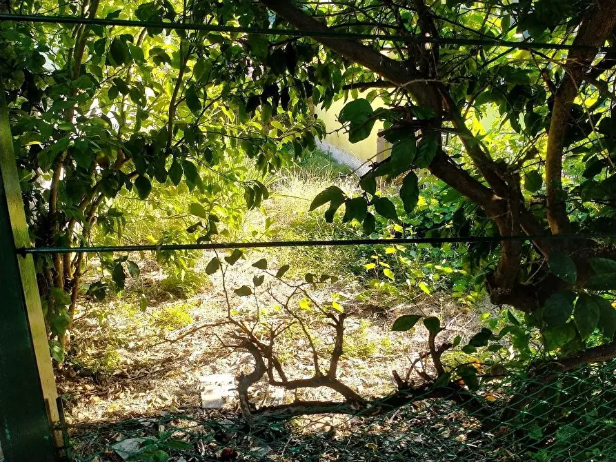 Immagine 5 di Casa semindipendente in vendita  a Massa