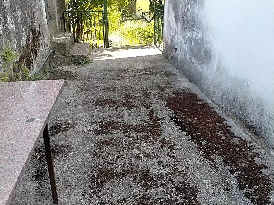 Immagine 4 di Casa semindipendente in vendita  a Massa