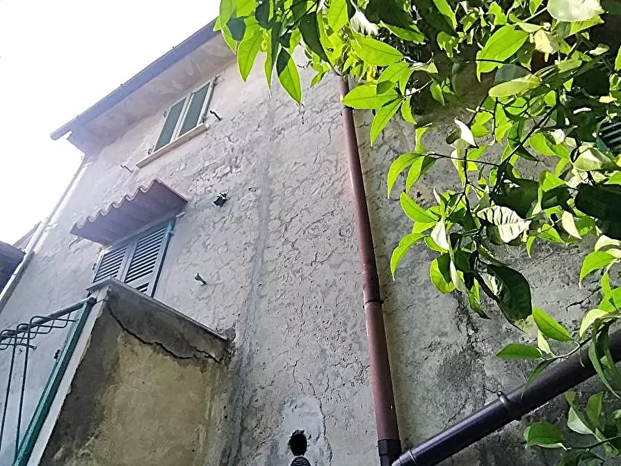 Immagine 2 di Casa semindipendente in vendita  a Massa