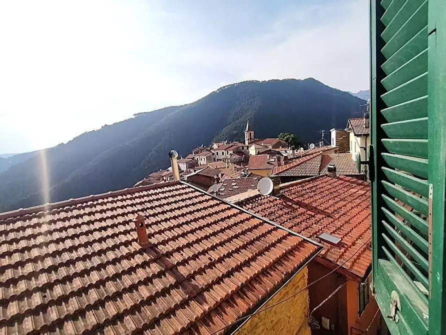 Immagine 3 di Casa semindipendente in vendita  a Massa