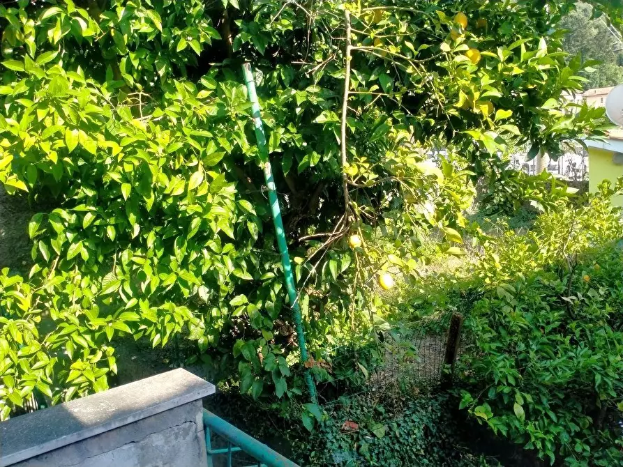 Immagine 7 di Casa semindipendente in vendita  a Massa