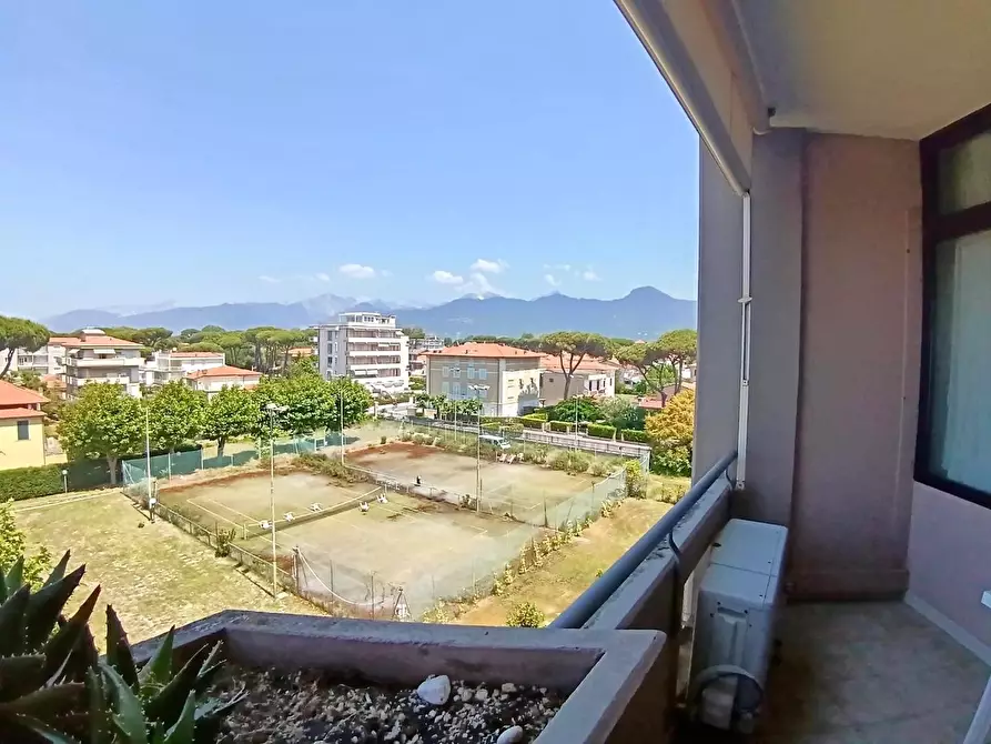 Immagine 5 di Appartamento in vendita  a Camaiore
