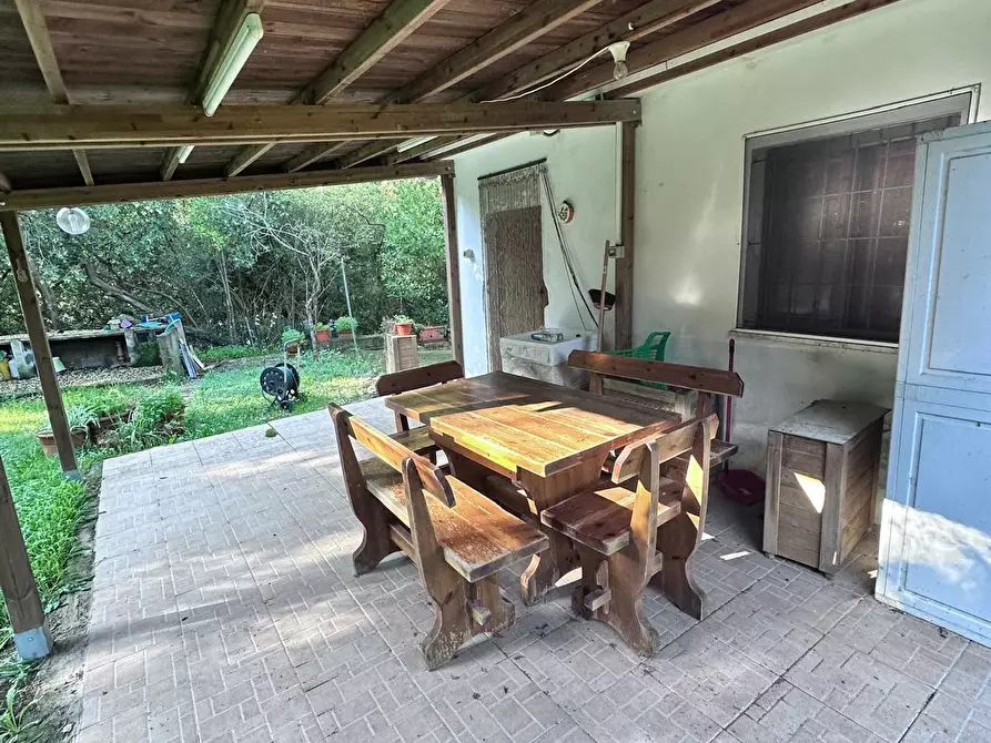 Immagine 2 di Casa indipendente in vendita  a Campiglia Marittima