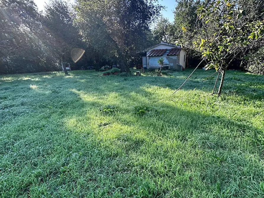 Immagine 1 di Casa indipendente in vendita  a Campiglia Marittima