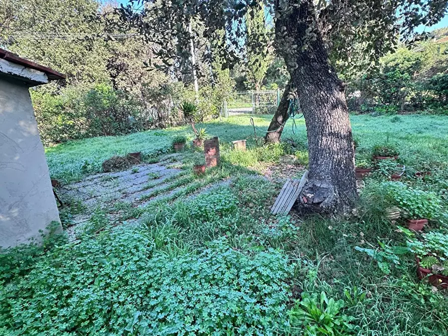 Immagine 9 di Casa indipendente in vendita  a Campiglia Marittima
