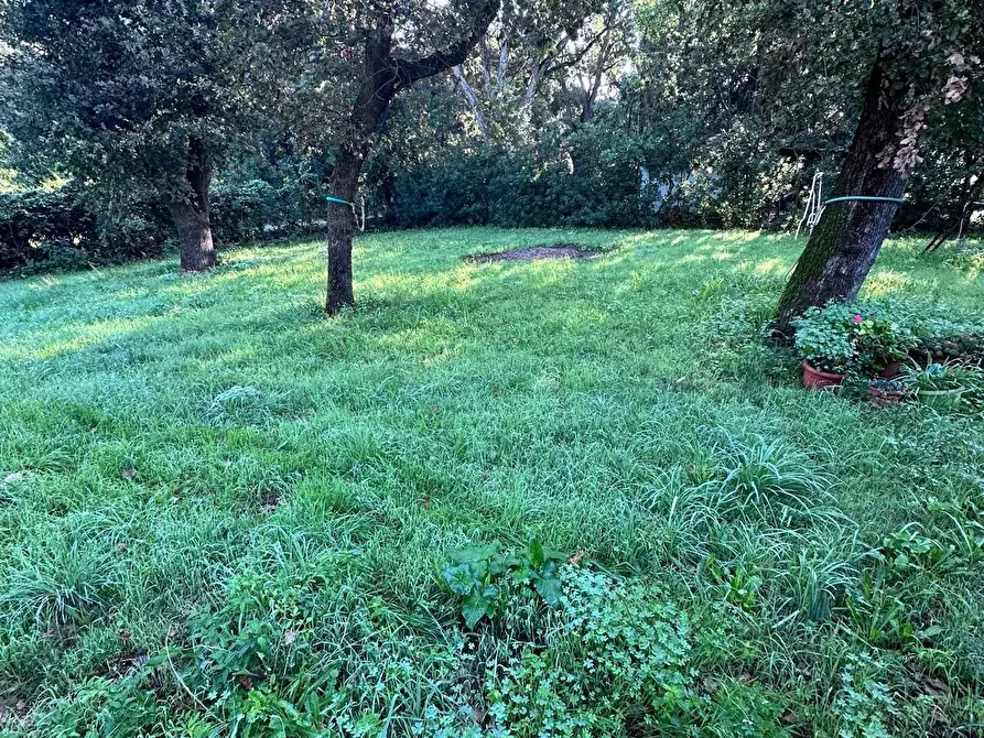 Immagine 7 di Casa indipendente in vendita  a Campiglia Marittima