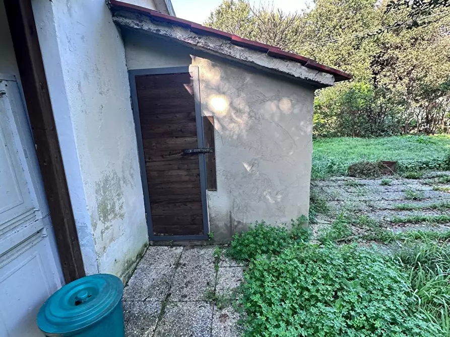 Immagine 8 di Casa indipendente in vendita  a Campiglia Marittima