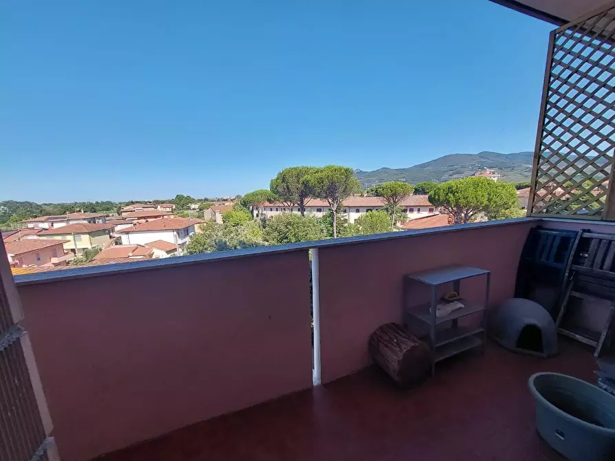 Immagine 4 di Appartamento in vendita  a Calcinaia