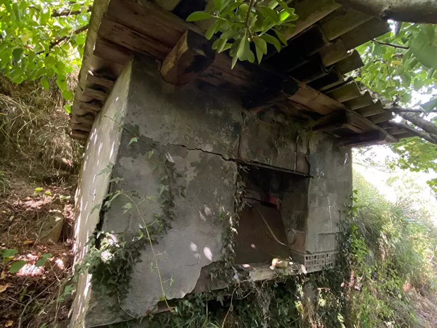 Immagine 27 di Casa colonica in vendita  a Coreglia Antelminelli