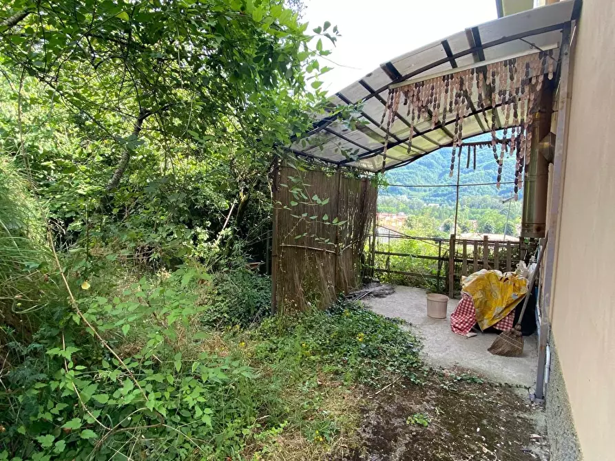 Immagine 3 di Casa colonica in vendita  a Coreglia Antelminelli