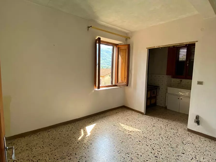 Immagine 13 di Casa colonica in vendita  a Coreglia Antelminelli